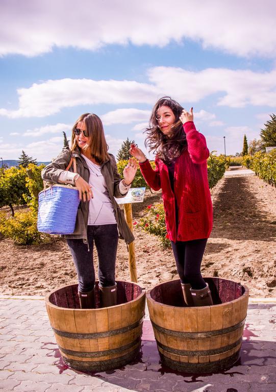 Hotel Rural Emina Valbuena De Duero Zewnętrze zdjęcie